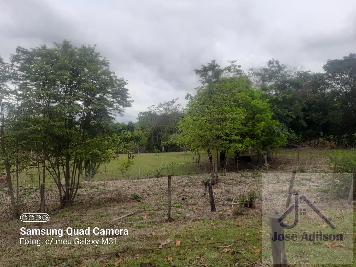 Sítio, 4 quartos, 17 hectares - Foto 14